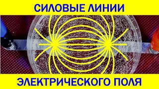 Электрическое поле