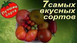 Лучшие сорта томатов  Самые вкусные сладкие помидоры 2017 года