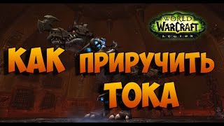 Как приручить Тока? WoW: Legion