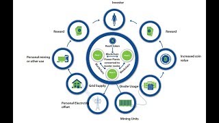 4NEW - ICO Review