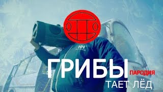 ГРИБЫ-ТАЕТ ЛЁД - ПАРОДИЯ(ПЕРЕДЕЛАННЫЙ КЛИП)