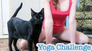 At Home Yoga Poses Challenge