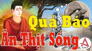 Kể Truyện Đêm Khuya"Rùng Mình Trước Quả Báo Chàng Trai Ăn Thịt Cá Sống"Bị Quả Báo Ớn Lạnh