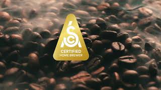 Braun MultiServe Coffee Maker KF90 Product Video