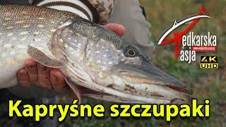 Kapryśne szczupaki 4K #136  wędkarstwo spinningowe | sposoby łowienia szczupaków