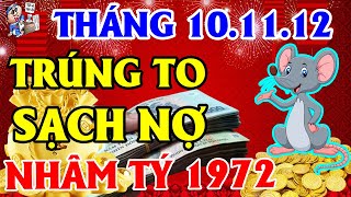 Tử Vi 3 Tháng Tới Tuổi Nhâm Tý 1972, Gặp Thời TRÚNG TO, TIỀN VỀ Tới Tấp, Trả Sạch Nợ, Năm 2022