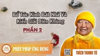 Bổ Túc Kinh Bát Nhã Và Kiến Giải Điên Khùng 2/2 - Thầy Thích Thanh Từ