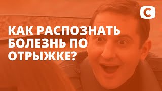 Отрыжка – Эксперимент