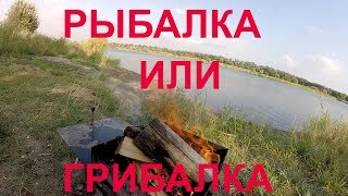 РЫБАЛКА или ГРИБАЛКА18+