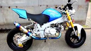 HONDA MONKEY R 125cc