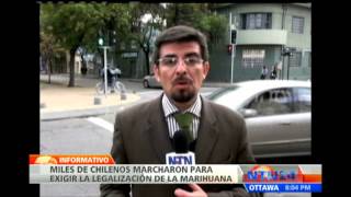 Miles de chilenos marchan a favor de la legalización de la marihuana en el país