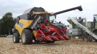 Enorme Broyeur Willemsen FF8W/K l Battage maïs grain 2016 l NH CR x2 l ETA Bernard