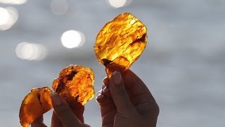Летний отдых в странах Балтии - Литва, Латвия, Эстония. Горящие туры в Прибалтику