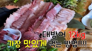 대방어 2부 대방어회, 방어지리, 방어구이 전부 다해처묵처묵!!!!!