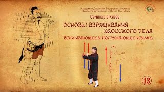 13. Основы Тайцзицюань. Построение столба. Всплывающее и Погружающее Усилия.