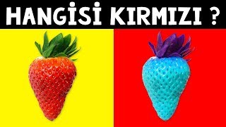 Yetişkinlerin %94'ü Çözemiyor 10 ZEKA SORUSU