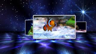 Стиль ProShow Producer - Star4