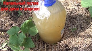 Капельный полив Вертикально стоящей пластиковой бутылки полив огорода капельный полив из пластиковых