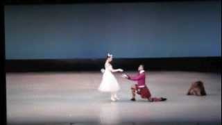 Fernando Montaño & Akane Takada ( La Sylphide )