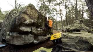 Two Weeks In Fontainebleau 2015