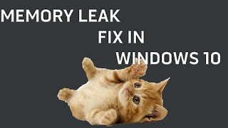Memory Leak Fix In Windows 10