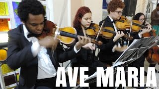Quarteto de Cordas | Ave Maria Gounod Bach Instrumental | Quarteto de Cordas SP para Casamento