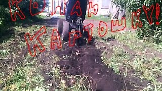 Уборка картофеля мотоблоком