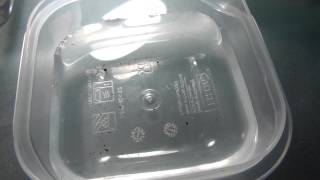 Killifish Project 03