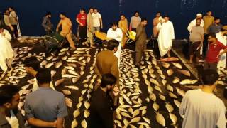 Аджман Фиш Маркет Ajman Fish Market