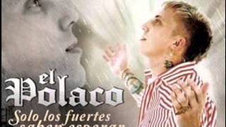 EL POLACO QUE PRETENDES