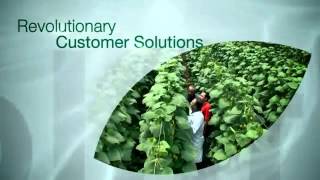 Pelemix Ltd   YouTube