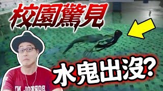 墨鏡哥｜搞笑"驚"華｜這間學校簡直快變成動物園了！！！《白色情人節 White day》#17