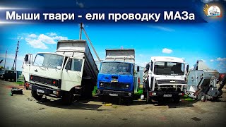 Активная фаза подготовки к уборке началась. МАЗисты всех стран объединяйтесь!