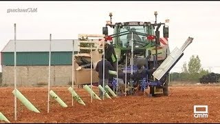 El cultivo del pistacho. 11/11/2019.