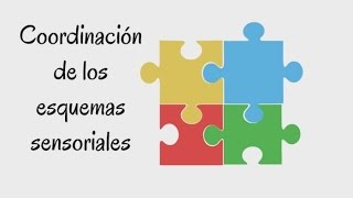 La coordinación de esquemas sensoriales de Piaget