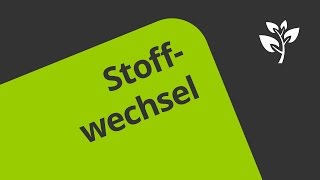 Zellen brauchen Nahrung | Biologie | Biologie der Zellen