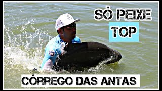 Córrego das Antas - Melhores momentos pescaria realizada em Setembro 2018