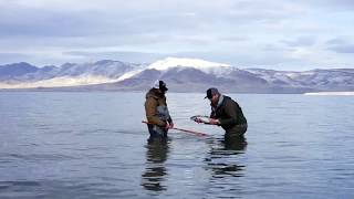 Lost Coast Outfitters Presents : Fly Fishing Pyramid Lake