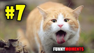 САМЫЕ ЛУЧШИЕ И СМЕШНЫЕ ПРИКОЛЫ ПРО МИЛЫХ ЖИВОТНЫХ,ПРИКОЛЫ ПРО ЖИВОТНЫХ 2016 HD