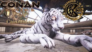 Conan Exile The Age of Calamitous The Tiger tame! [RePuG Conan Exiles  Ep 2]