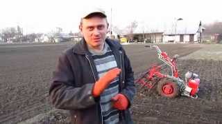 Мотоблок Мотор Сич. Весеннее боронование подробно...