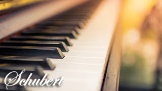 Schubert Classical Music for Studying, Concentration, Relaxation | Study Music | Piano Music