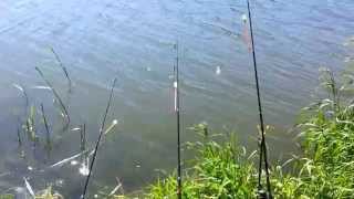 20150607 101109  рыбалка на водохранилище Лошица, парк Курасовщина, Минск, Беларусь