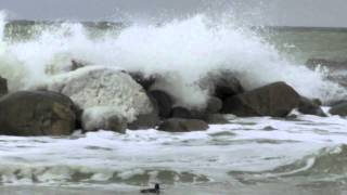 stimming - november morning