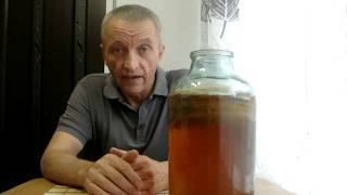 Как заваривать чайный гриб Почему не всплывает чайный гриб Ответы на вопросы
