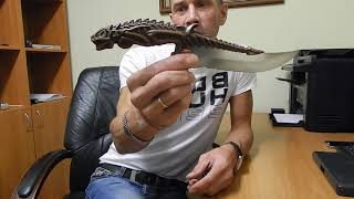 Нож из фильма "Чужой", привезён из Вьетнама.