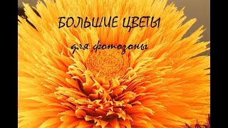Цветы из гофрированной бумаги. Ростовые цветы. Цветы для фотозоны