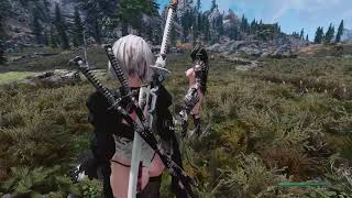 Skyrim: Nexxis Follower 2k19 1.04