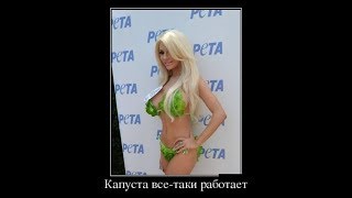 Смешные демотиваторы.  Подборка декабрь 2017