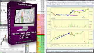 Секретные Скальпинг Стратегии на 2013-2014 год